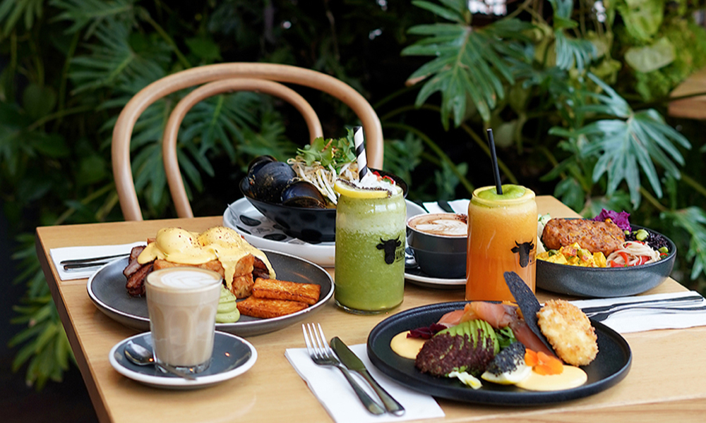 A wooden table with four plates of beautifully plated brunch meals with glasses of juice and cups of coffee, all against a backdrop of lush greenery.